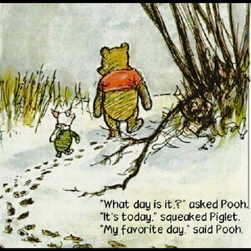 pooh-whatday