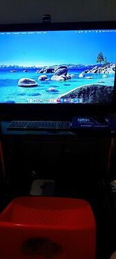 WhatsApp Image 2025-10-12 at 16.07.02