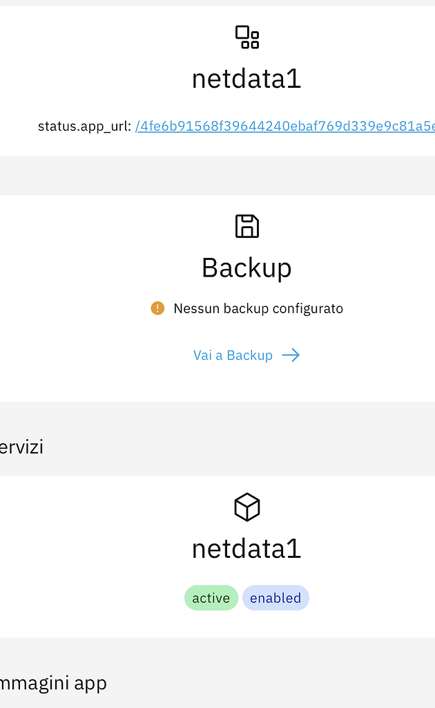Netdata Ns8 not start - Bug - NethServer Community