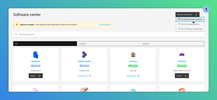 Disable automatic updates