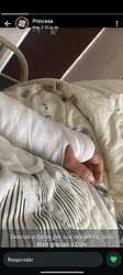 IMG-20260425-WA0096