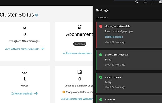 Screenshot 2025-05-05 195350_ns8_cluster_import-module_failed