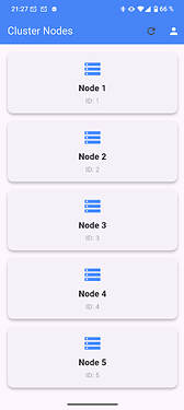 Screenshot_20250616-212706_ns8_client_app