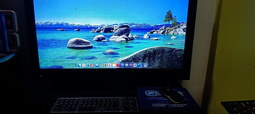 WhatsApp Image 2025-10-12 at 16.07.03