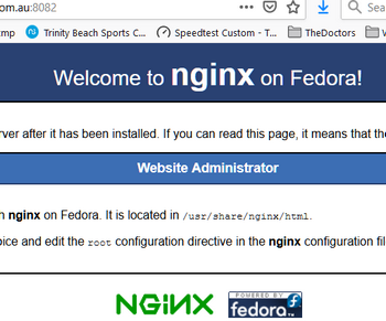 neth-nginx